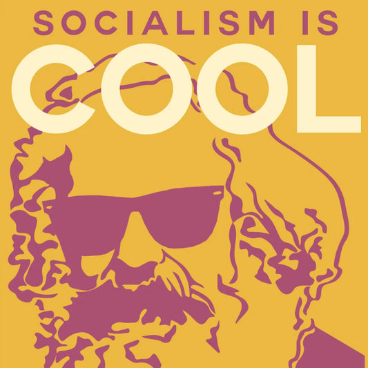 "Socialism is Cool" Poster