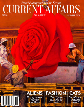 Current Issue Photo Issue 29 (Jan./Feb. 2021) - Print – Current Affairs