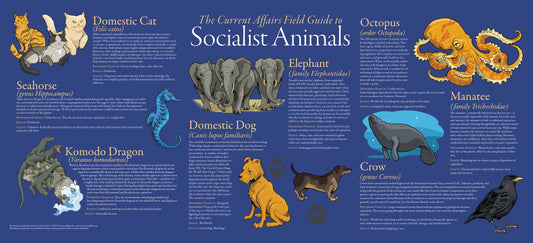 Socialist Animals Poster